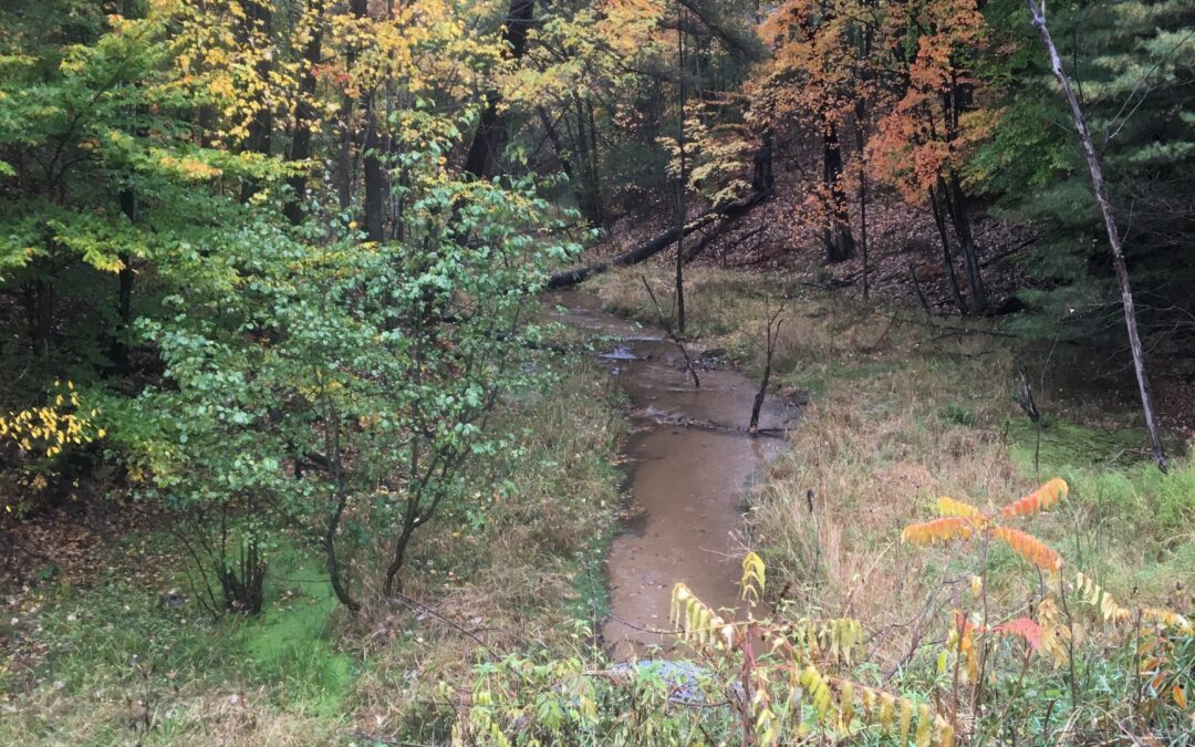 Delta Institute Awarded Grant to Help Farmers Reduce Pollution in the Rabbit River Watershed