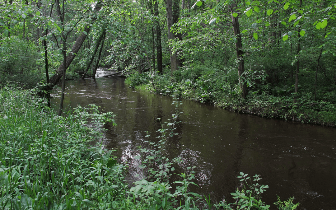 Grant will improve the health of the Rabbit River Watershed by working with farmers to decrease sediment loading