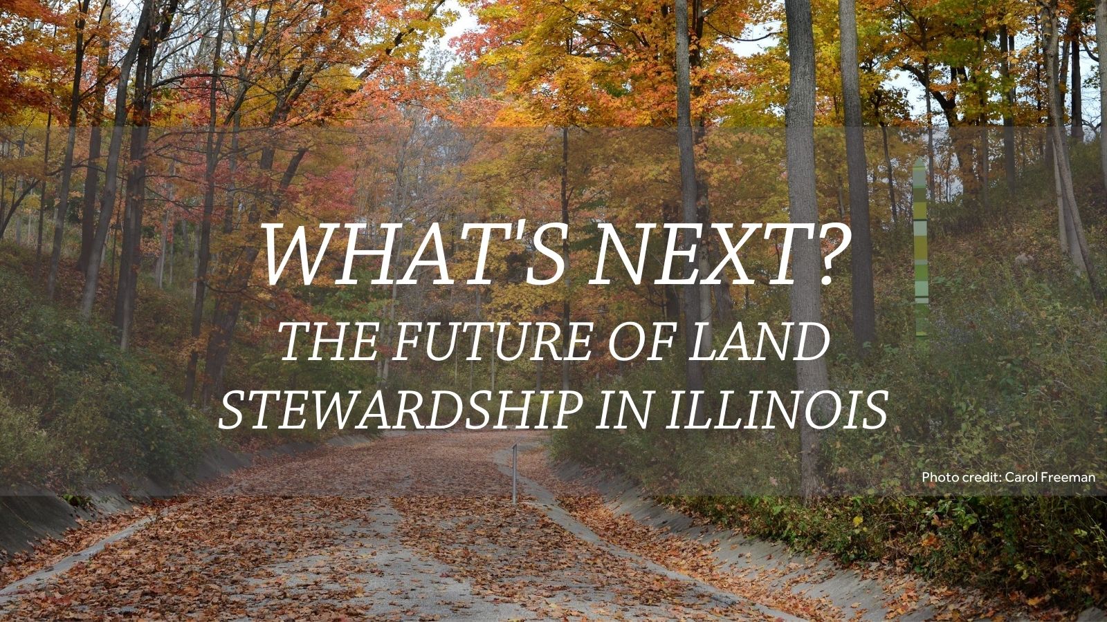 What's next - the future of land stewardship in Illinois