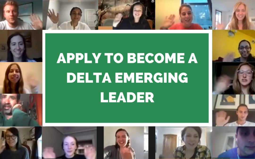 Apply to Become a Delta Emerging Leader!