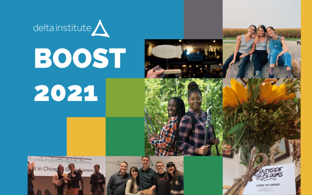 BOOST 2021: Emerging Entrepreneurs in Sustainability