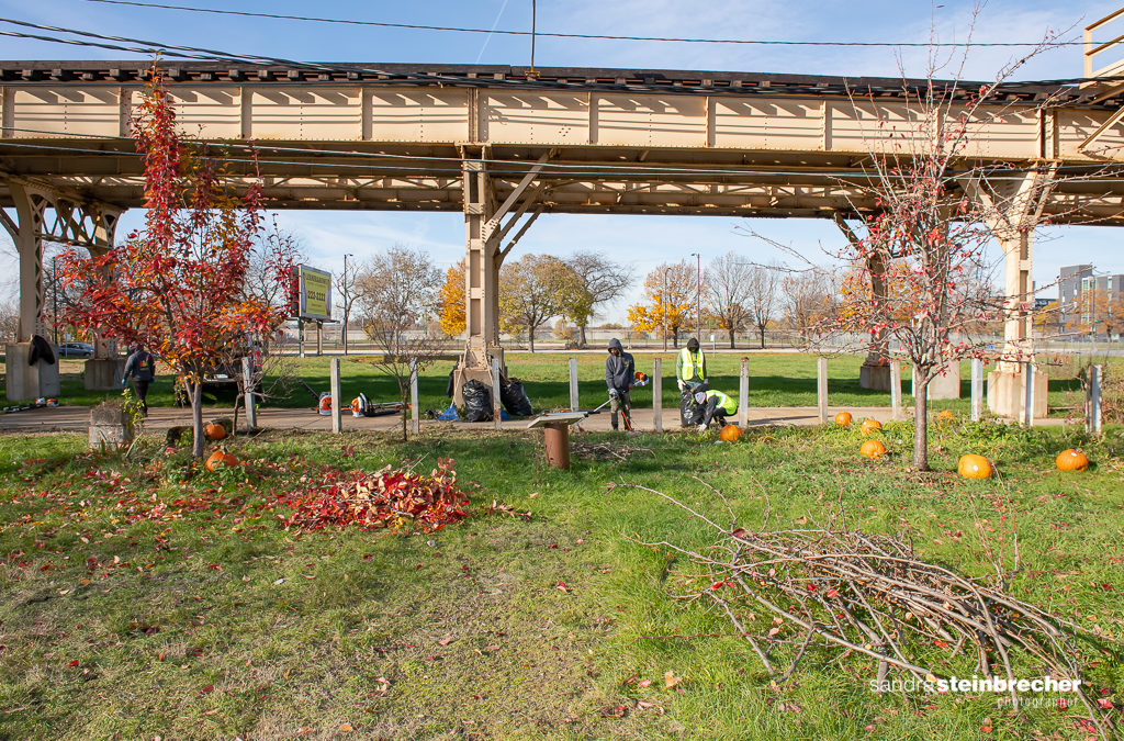 Stewardship of Community Green Space and Workforce Development with Emerald South’s Terra Firma Project
