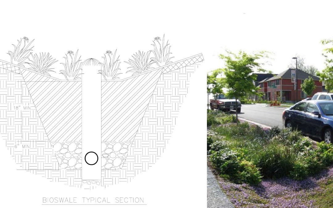 Green Infrastructure and Nature-Based Design