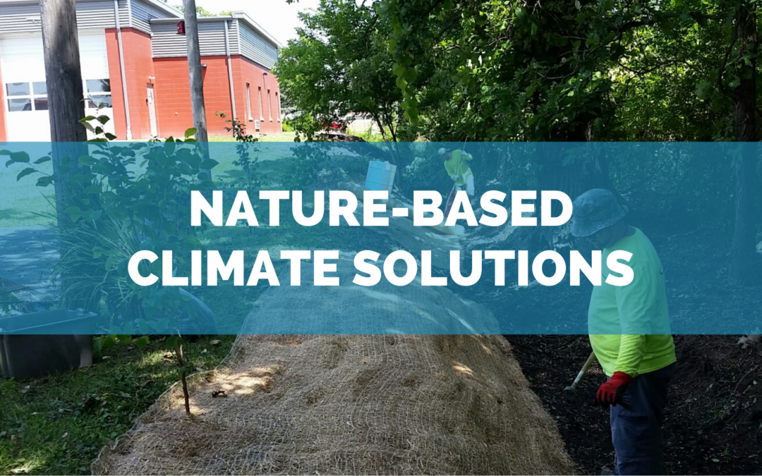 Our Impact: Nature-Based Climate Solutions