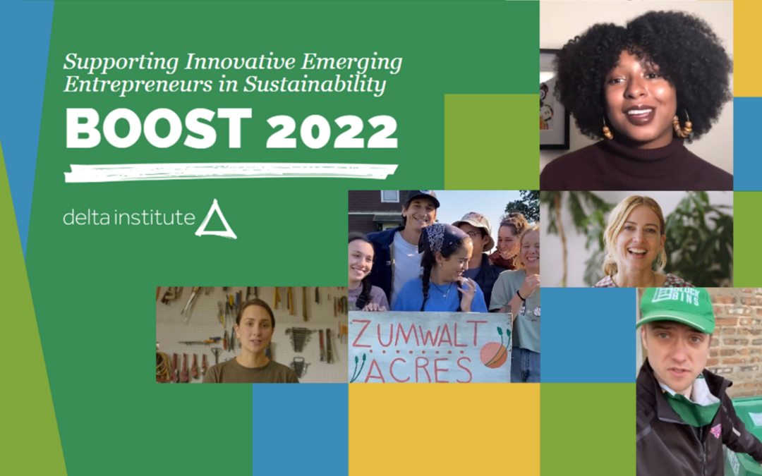 BOOST 2022: Supporting Innovative Emerging Entrepreneurs in Sustainability