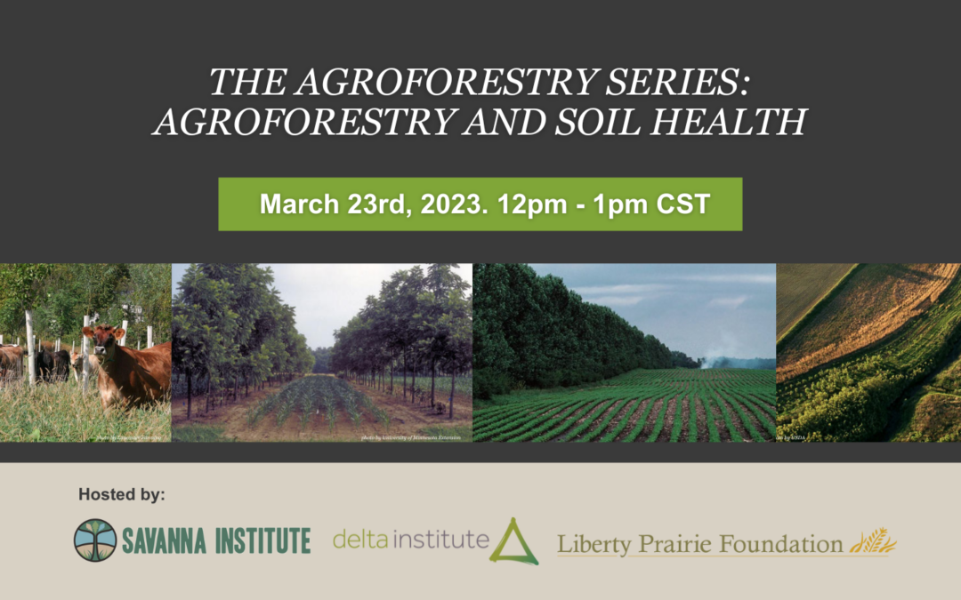 The Agroforestry Series: Agroforestry & Soil Health