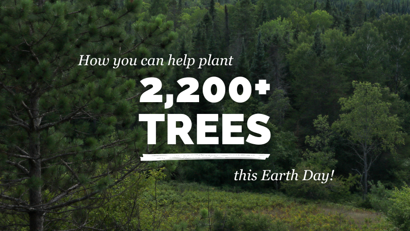 How You Can Help Plant 2,200+ Trees this Earth Day