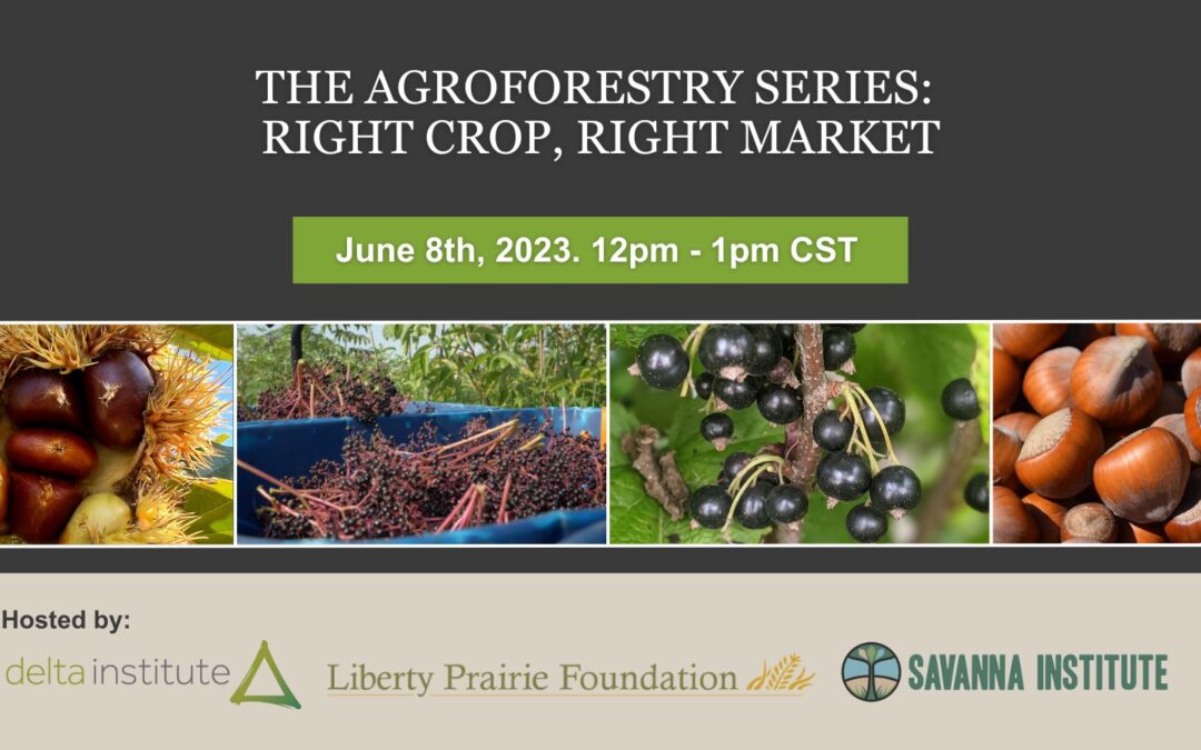 The Agroforestry Series: Right Crop, Right Market