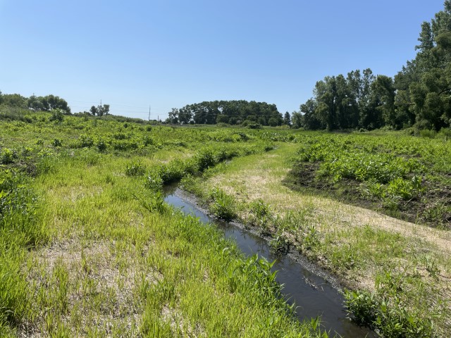 Restoring The Duck Creek Tributary In Northwest Indiana