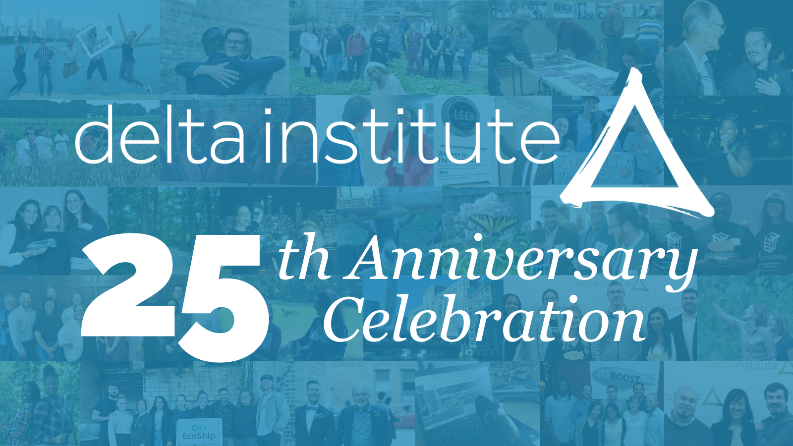 Delta Institute 25th Anniversary Celebration banner