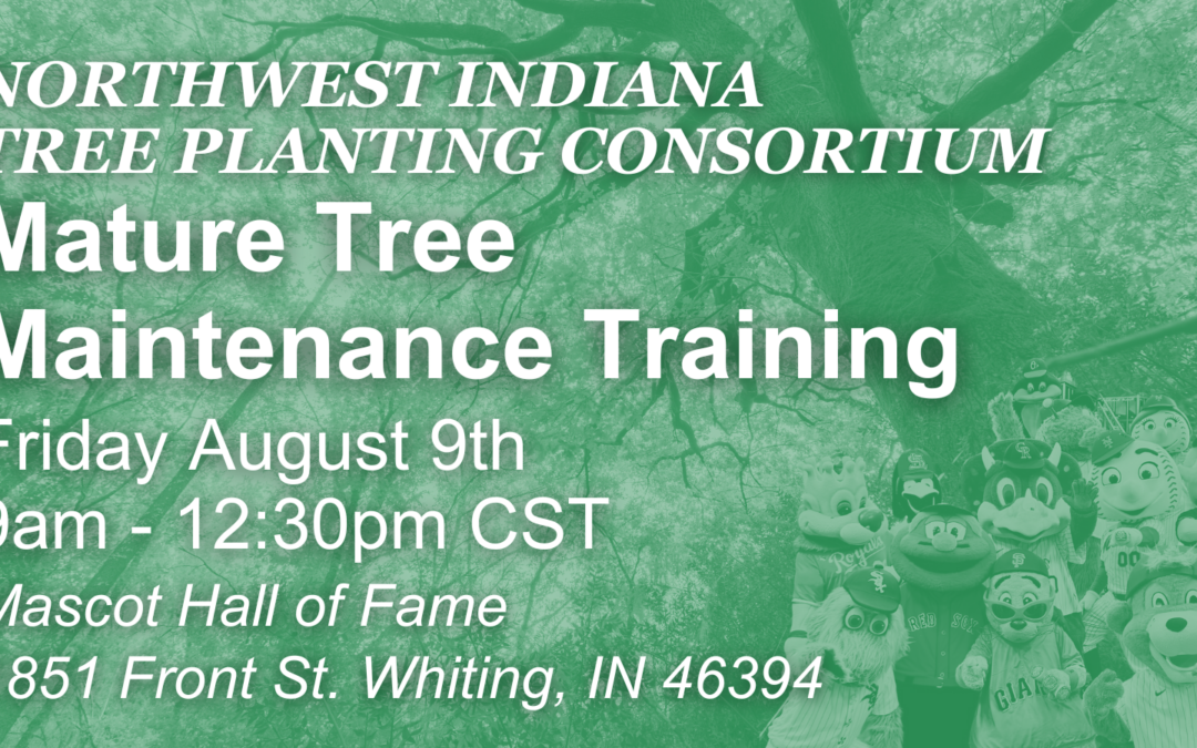 Northwest Indiana Tree Planting Consortium – Mature Tree Maintenance Training