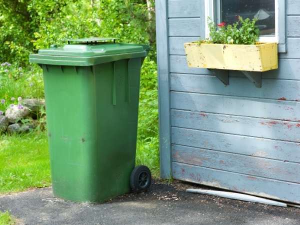 Compost bin in backyard