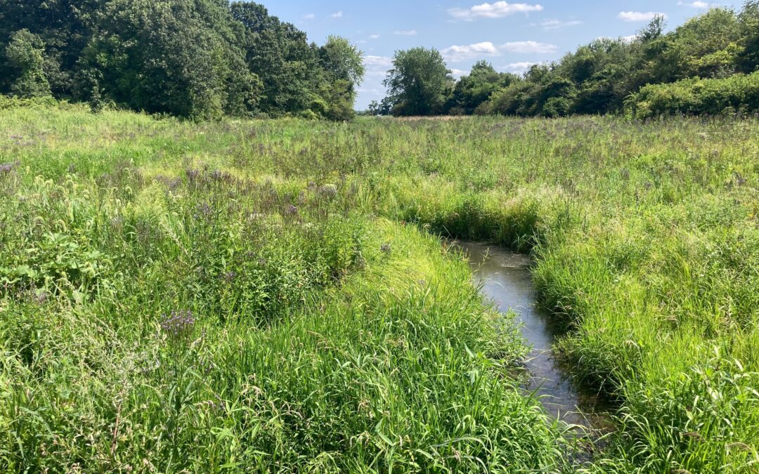 Restoring The Duck Creek Tributary In Northwest Indiana