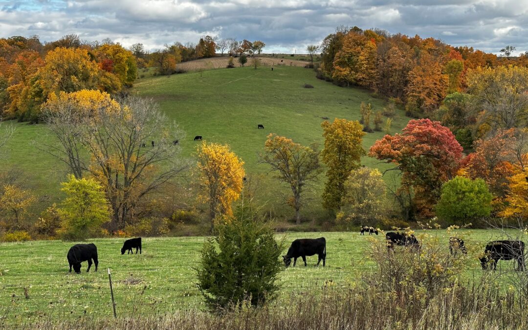 Piloting Midwestern Soil Health Appraisals
