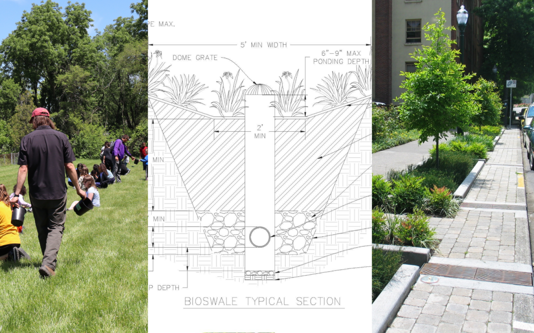 Green Infrastructure and Nature-Based Design