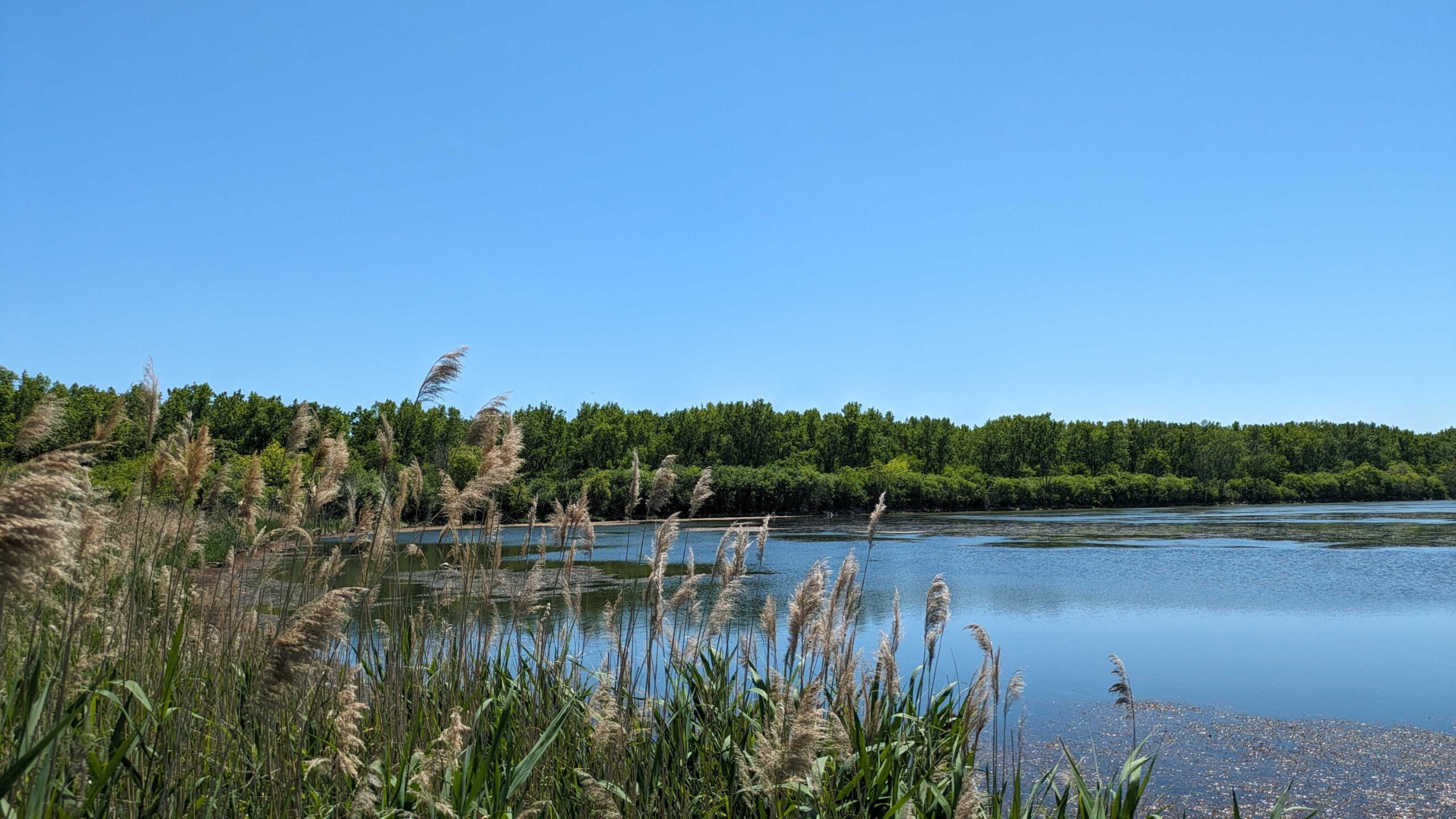 Aerial view of Harborside Marsh Pond, alongside Lake Calumet