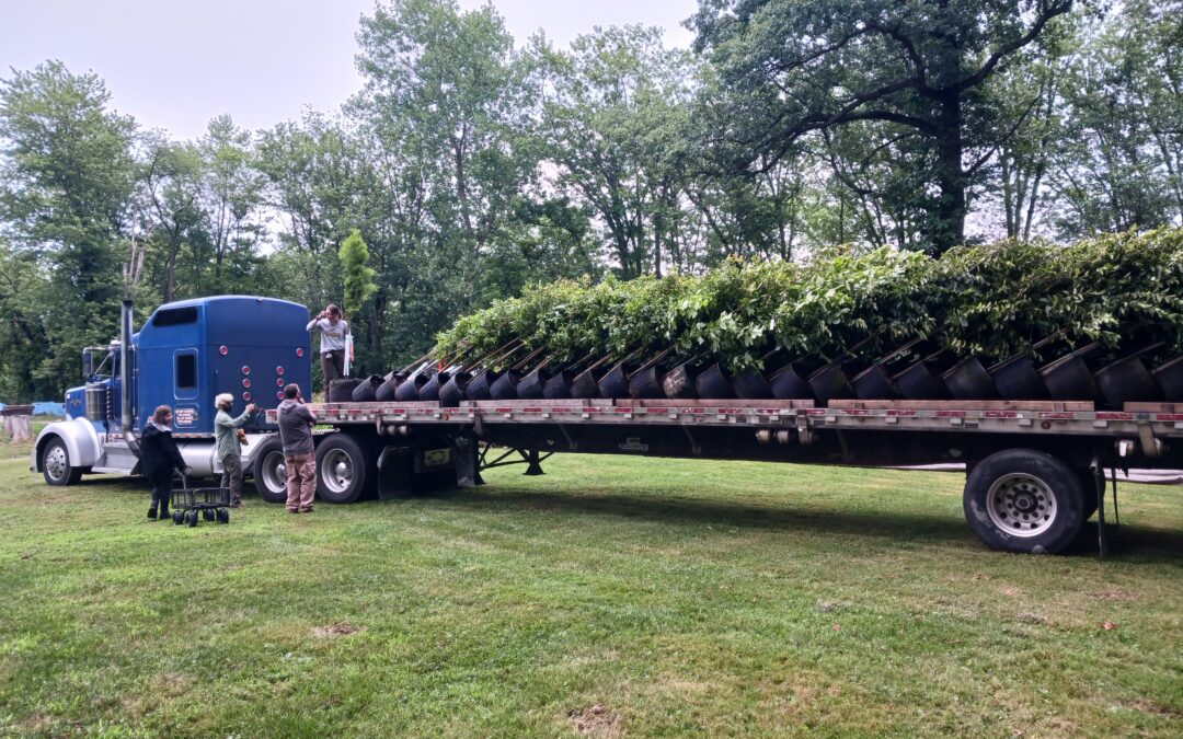 Expanding and Stewarding Regional Forest Canopy via a Tree Planting Consortium in Northwest Indiana