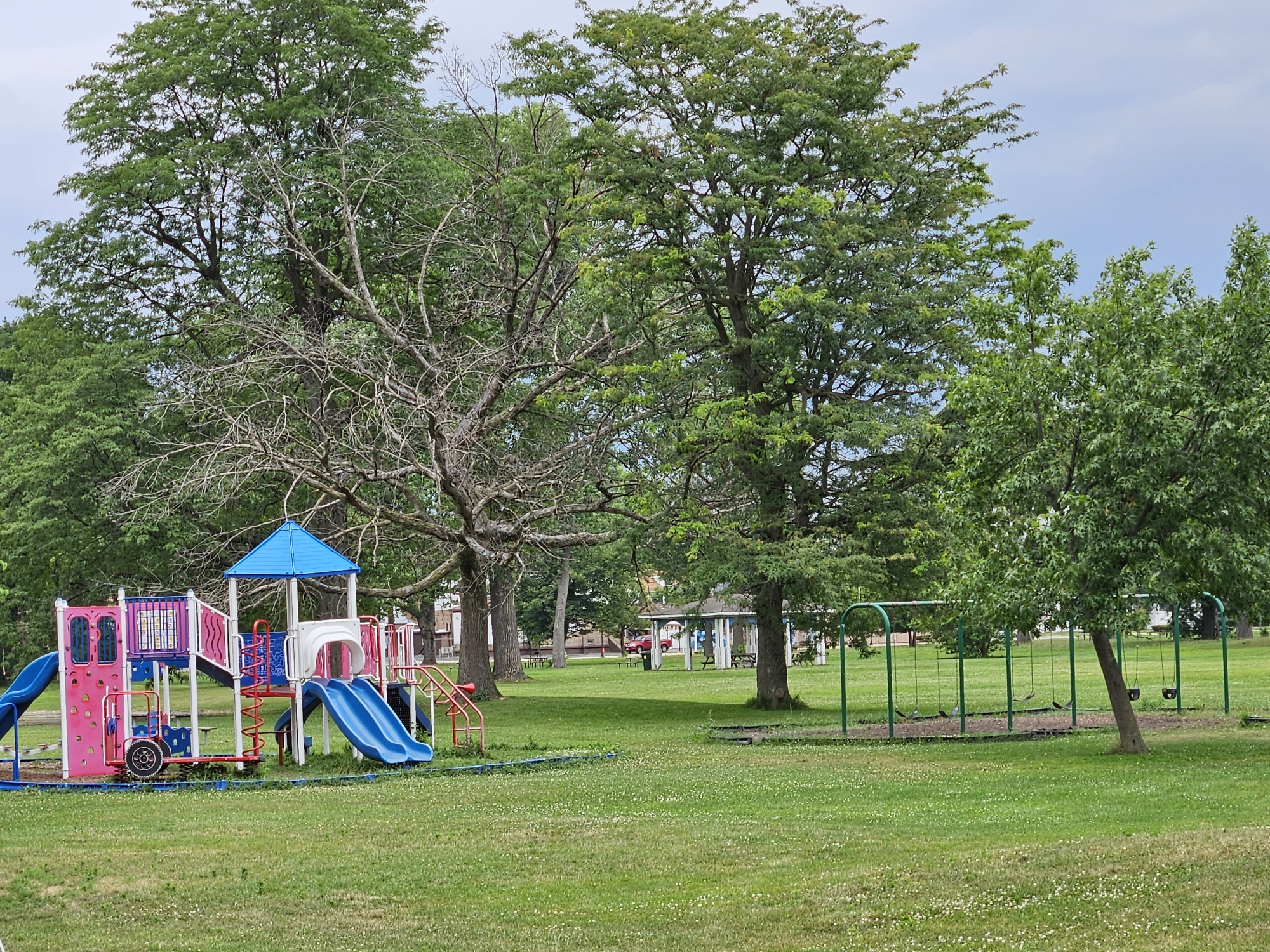 Harrison Park hazardous tree Picture of dead tree hovering over children's playground