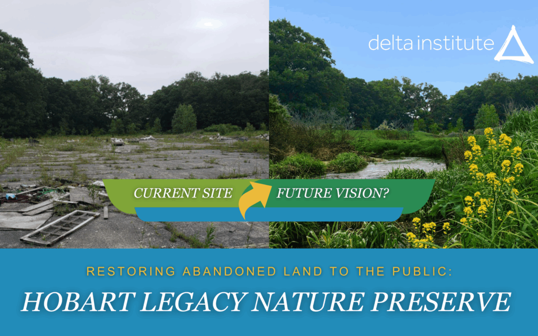 Restoring The Past: Hobart Legacy Nature District