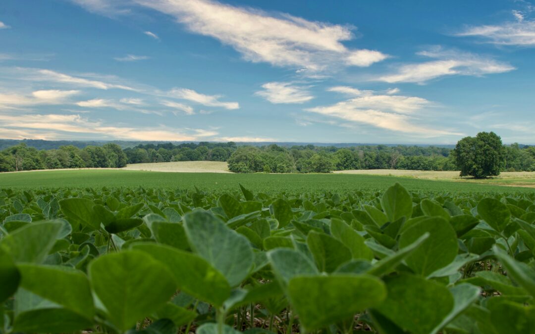 Building Regional Consensus for Soil Health Valuation