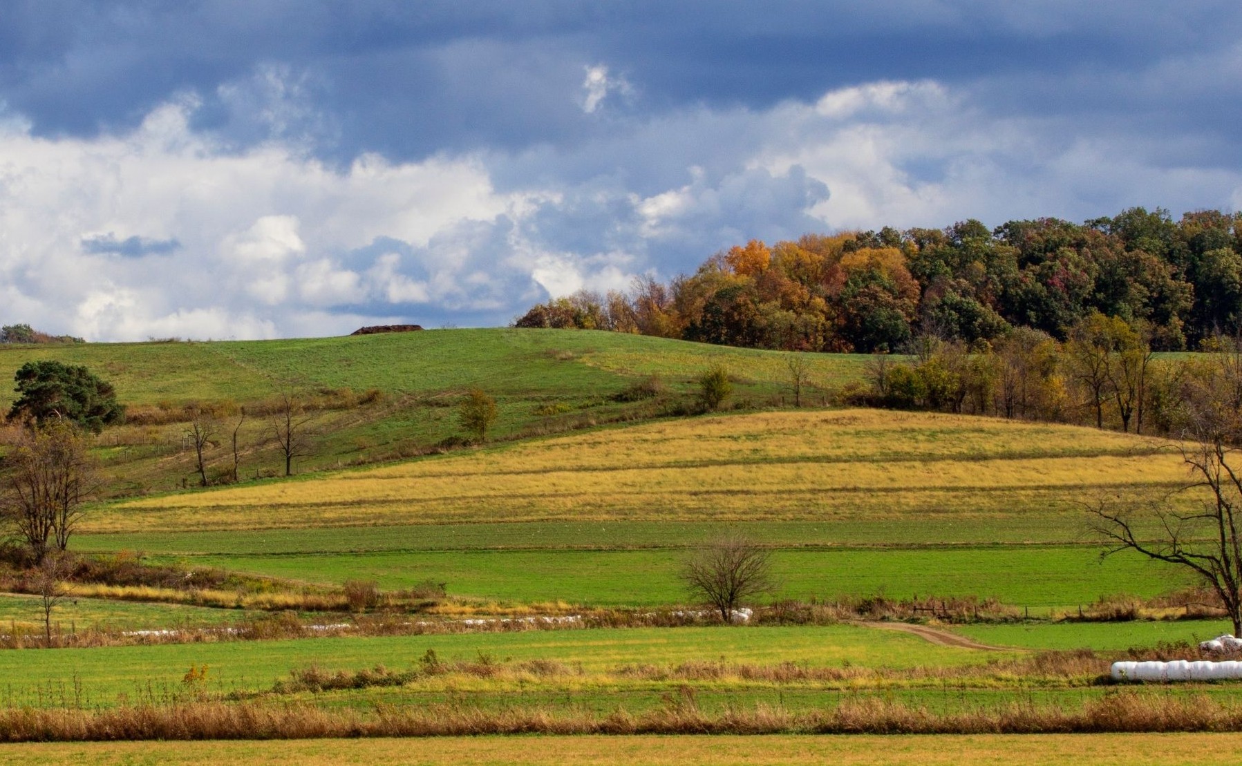 Landscape of La Crosse, WI