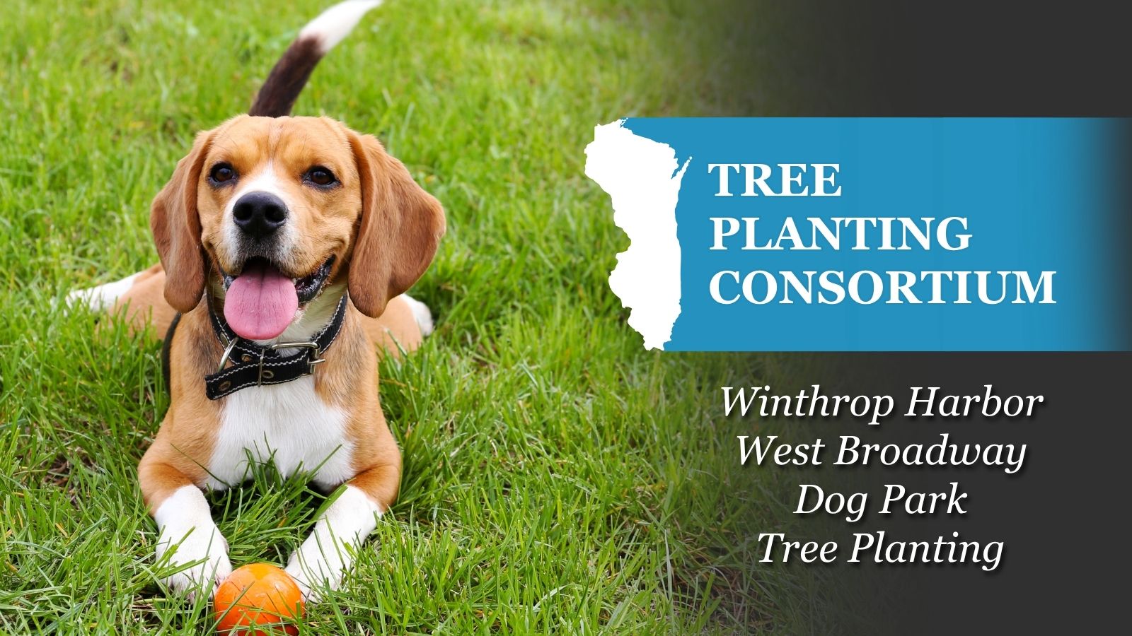 Event banner with picture of dog in grass playing with ball. Text reads, "Tree Planting Consortium: Winthrop Harbor West Broadway Park Tree Planting"